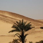 dodatkowe loty do TelAwiwu – weekend majowy