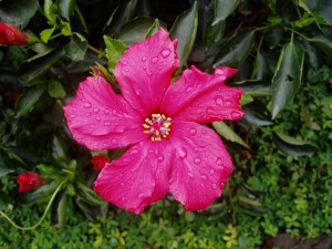 Xiamen - nowa destynacja KLM